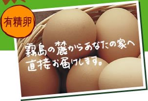 霧島の麓からあなたの家へ有精卵を直接お届けします。